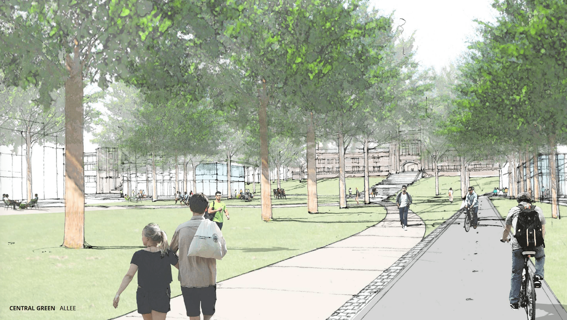 Rendering showing pedestrian and bike corridors on the campus of Washington University in St. Louis