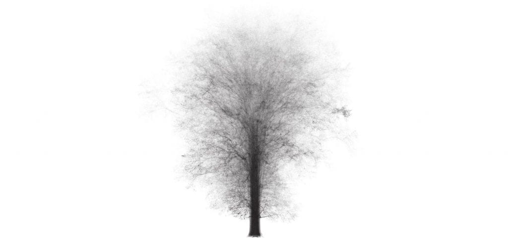 black and white laser images of trees superimposed on one another